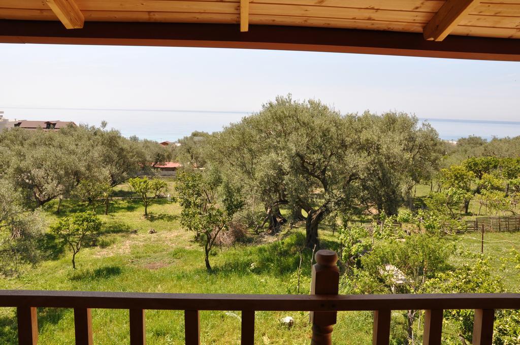 Guest House Luiza Borsh Rum bild